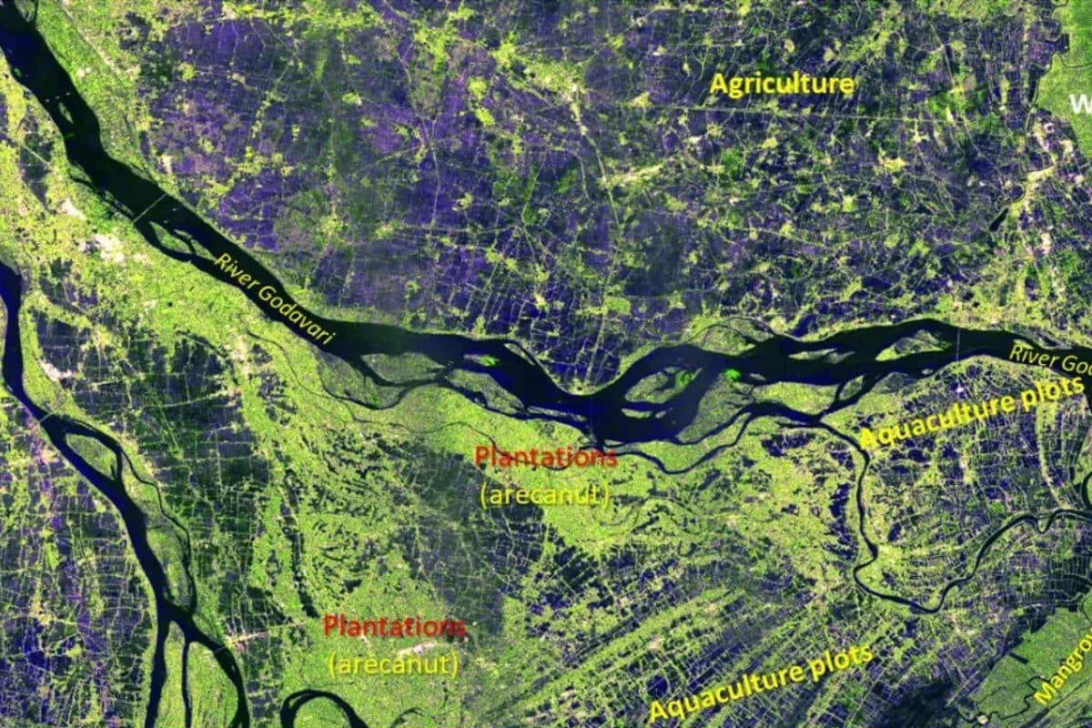 निसार की पहली फोटो: स्पेस से सुनहरा दिखा भारत रात में ISRO की नजर कितनी पैनी