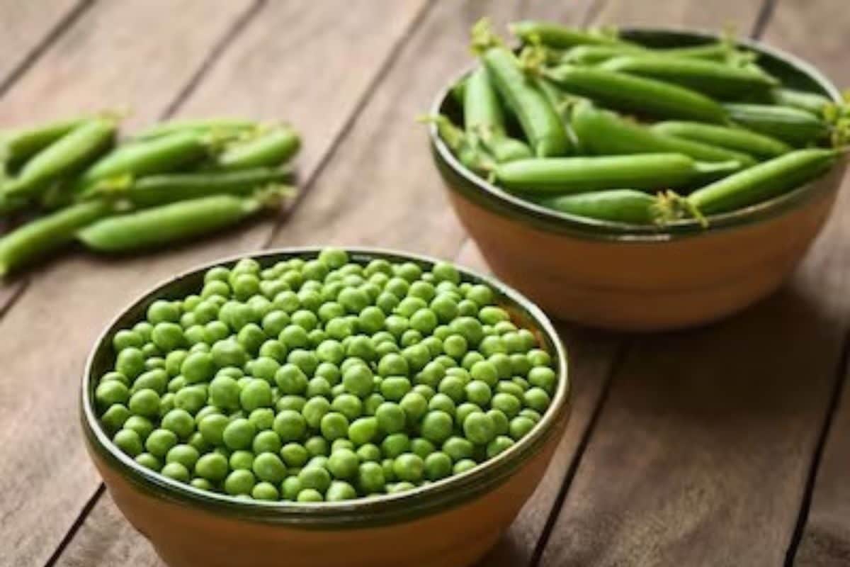मटर को लंबे समय तक ताजा रखने के लिए फ्रिज में रखें या फ्रीजर में जान लीजिए