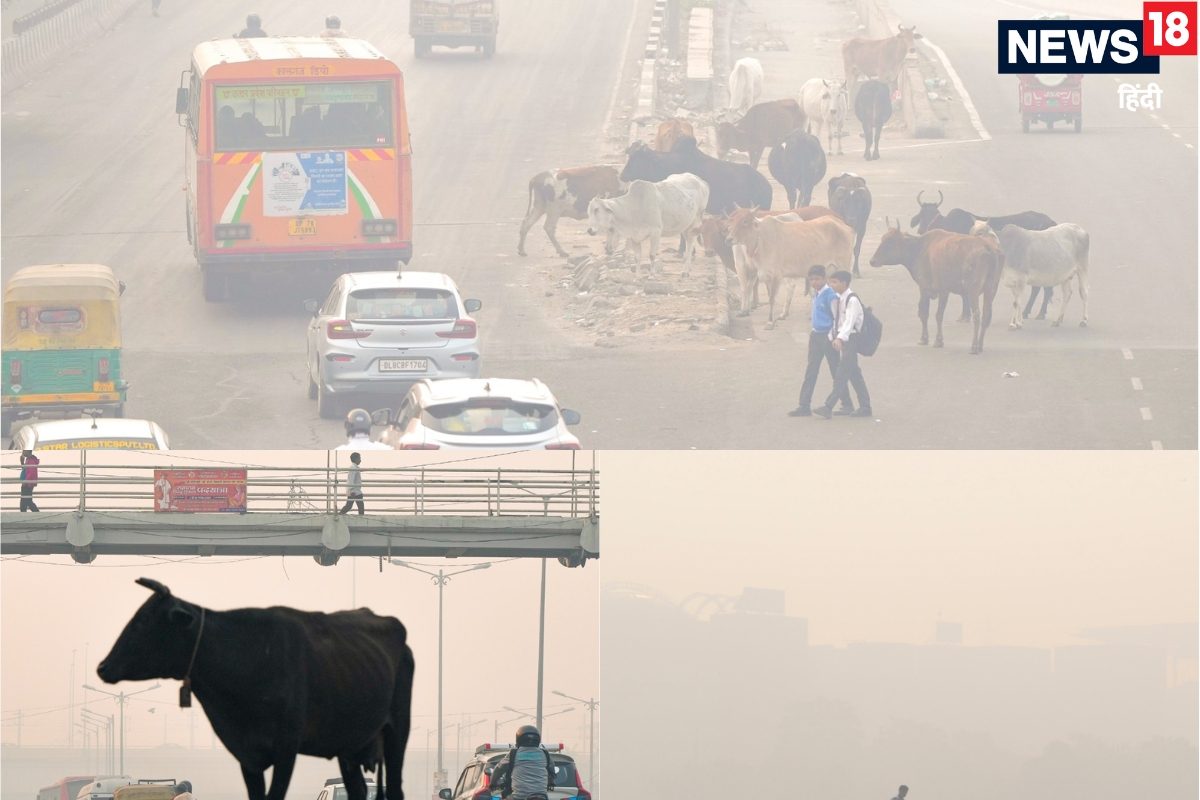 अब कैसे जिएंगे दिल्लीवाले मुंह बाए खड़े हैं 2 बड़े खतरे जाएं ते जाएं कहां