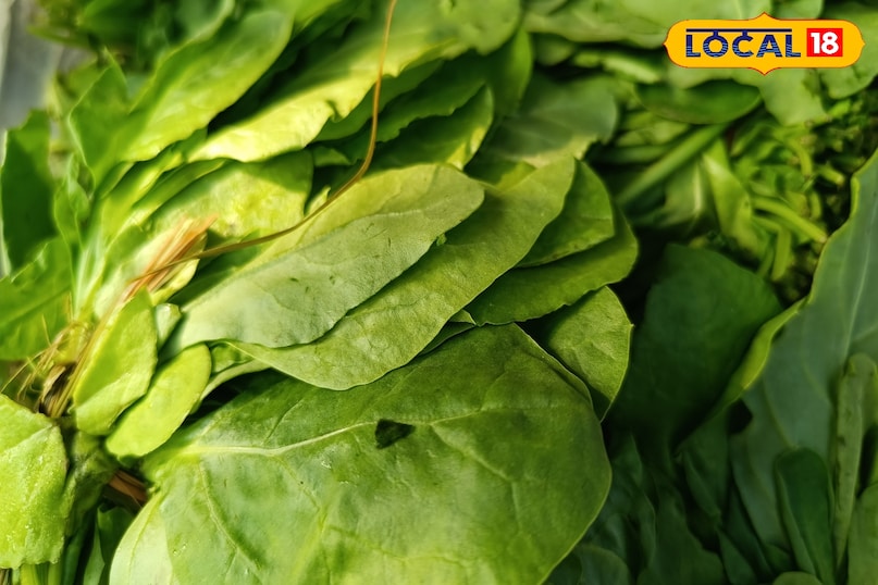 सर्दियों में घर पर उगाएं हरी सब्ज़ियाँ—कम समय में ज्यादा, पूरी तरह ऑर्गेनिक सर्दियों में घर पर उगाएं हरी सब्ज़ियाँ—कम समय में ज्यादा, पूरी तरह ऑर्गेनिक