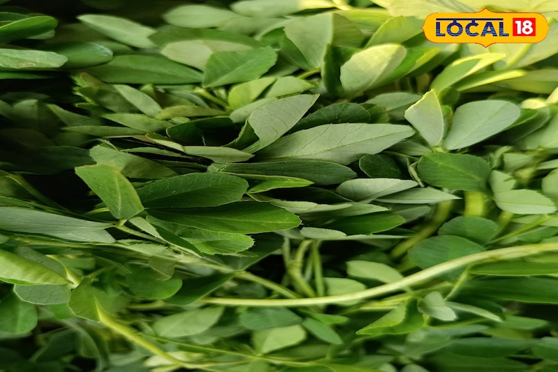 सर्दियों में घर पर उगाएं हरी सब्ज़ियाँ—कम समय में ज्यादा, पूरी तरह ऑर्गेनिक सर्दियों में घर पर उगाएं हरी सब्ज़ियाँ—कम समय में ज्यादा, पूरी तरह ऑर्गेनिक