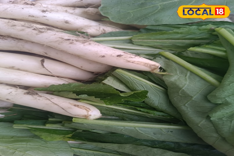 सर्दियों में घर पर उगाएं हरी सब्ज़ियाँ—कम समय में ज्यादा, पूरी तरह ऑर्गेनिक सर्दियों में घर पर उगाएं हरी सब्ज़ियाँ—कम समय में ज्यादा, पूरी तरह ऑर्गेनिक