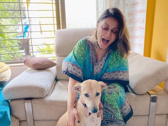 Urvashi Dholakia reacted on the decision on stray dogs, got trolled
