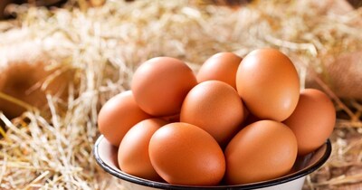 अक्सर यह माना जाता है कि अच्छी मात्रा में प्रोटीन सिर्फ अंडे या मांसाहारी चीजों से ही मिल सकता है, लेकिन सच यह है कि कई शाकाहारी फूड्स ऐसे भी हैं जिनमें अंडे से बराबर या उससे ज्यादा प्रोटीन पाया जाता है. ये फूड्स न सिर्फ शरीर को मजबूत बनाते हैं, बल्कि एनर्जी को लंबे समय तक बनाए रखते हैं और त्वचा को भी नेचुरल ग्लो देते हैं. अगर आप वेजिटेरियन हैं या अंडा नहीं खाते, तो ये 5 शाकाहारी फूड्स आपकी डाइट में जरूर शामिल होने चाहिए.