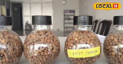 तीन सालों से वह जिस चने की खेती कर रहे थे, उसकी फसल में कई तरह की बीमारियां पैदा हो रही थीं. उनका गांव सूखे क्षेत्र में शुमार है, जिसकी वजह से सिंचाई की सबसे अधिक समस्या रहती है. तीन साल पहले पुराने विलुप्त बीज को फिर से विकसित करने पर काम शुरू किया गया. प्रशिक्षण के रूप में उसकी खेती भी की गई, जिसका नतीजा काफी अच्छा रहा और किसानों को चौंकाने वाला रहा.