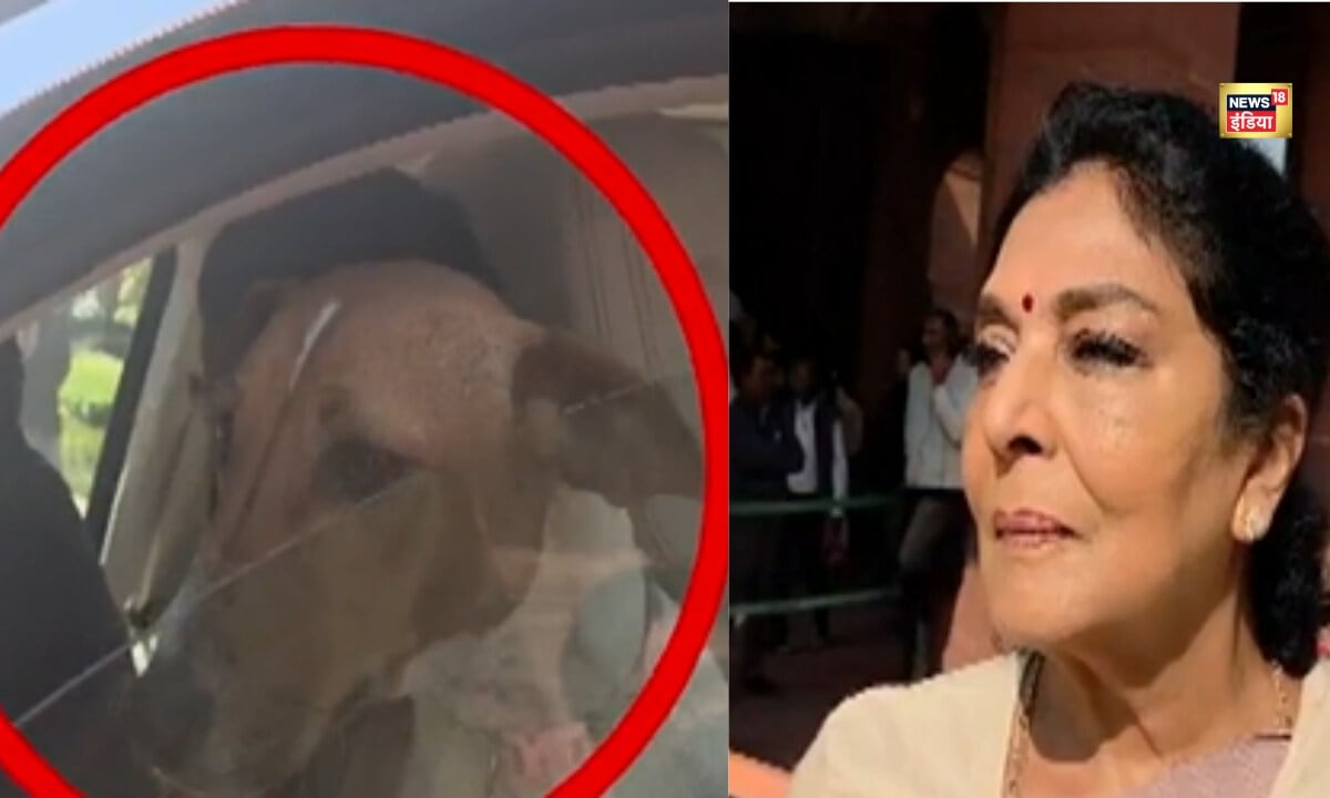 अंदर वाले काटते हैं संसद में कुत्ता लेकर पहुंची रेणुका ने ऐसा क्यों कहा 