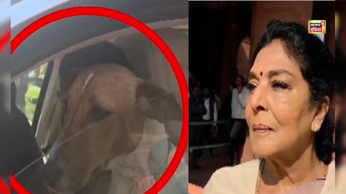 अंदर वाले काटते हैं... संसद में कुत्ता लेकर पहुंची रेणुका ने ऐसा क्यों कहा ?