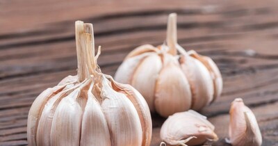 Health Benefits Eating Garlic In Winter 
