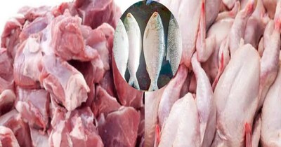 Fridge Safety: Experts Say Chicken 1-2 Days, Fish ASAP