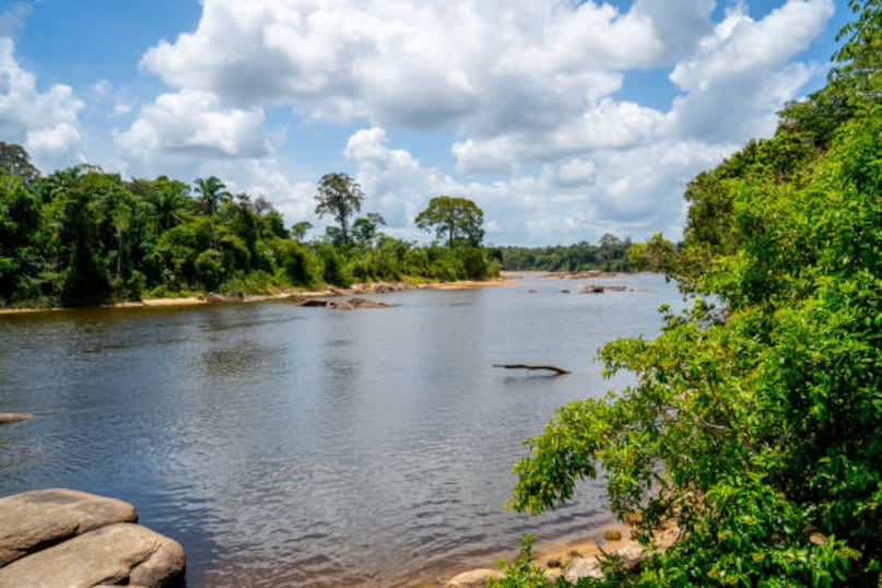 It lies on the northern coast of South America, bordered by Guyana, Brazil, and French Guiana. Its proximity to the Amazon region makes it exceptionally rich in forests, rainfall, rivers, and wildlife. This strategic location contributes to its lush landscapes, diverse ecosystems, and abundant natural resources, enhancing its reputation as one of the world’s greenest countries.