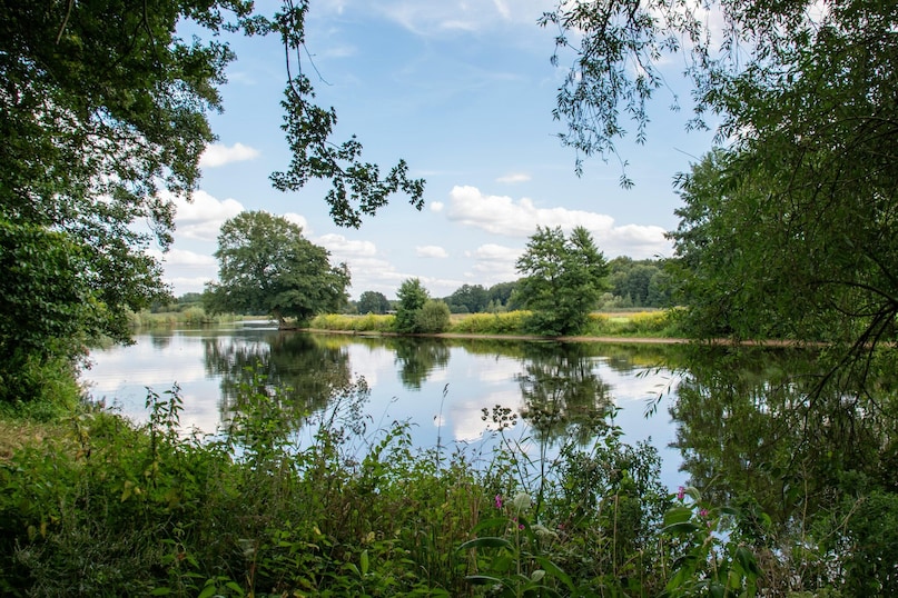 Suriname is called the Land of Forests due to its vast rainforest cover, incredible biodiversity, and strong commitment to environmental conservation. Its untouched ecosystems make it one of the greenest nations on Earth.