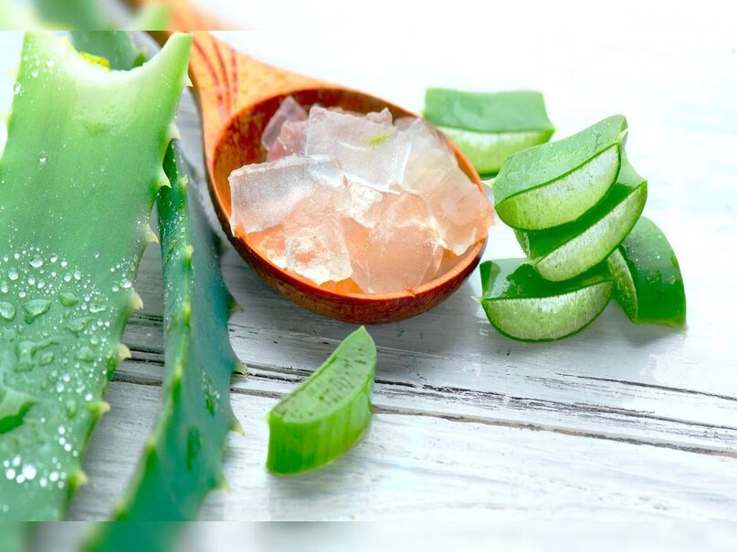  শীতকালে চুলের শুষ্কতা বৃদ্ধি পায় এবং মাথার ত্বকের প্রাকৃতিক তেল কমাতে পারে। অ্যালোভেরা একটি প্রাকৃতিক ময়েশ্চারাইজার হিসেবে কাজ করে। পুষ্টিকর এনজাইম, ভিটামিন এবং খনিজ পদার্থে সমৃদ্ধ, এটি মাথার ত্বককে প্রশমিত করে এবং উজ্জ্বলতা বৃদ্ধি করে। শীতকালে এটি ব্যবহার শুষ্ক ত্বক এবং ভঙ্গুর চুলের জন্য অত্যন্ত উপকারী বলে মনে করা হয়।