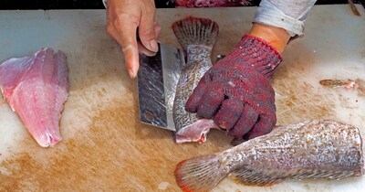 Which People Eat Fish Should Be Careful 