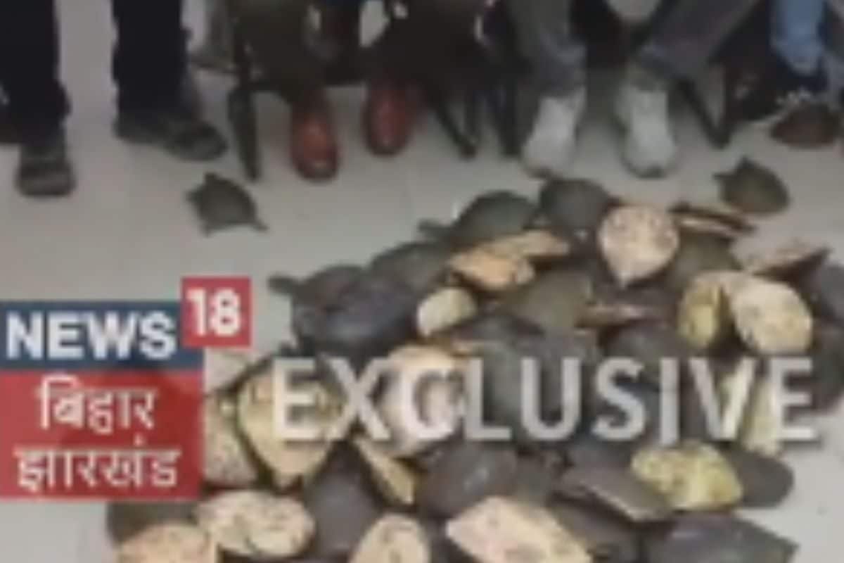 दून एक्सप्रेस के S-3 कोच में चल रहा था 'सीक्रेट गेम'! 5 बैग खुलते ही RPF भी रह गई दंग, देखें VIDEO