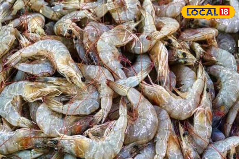 இறாலில் இருக்கும் கரும்பு நரம்பு.. அகற்றாமல் சாப்பிட்டால் என்ன ஆகும் தெரியுமா..