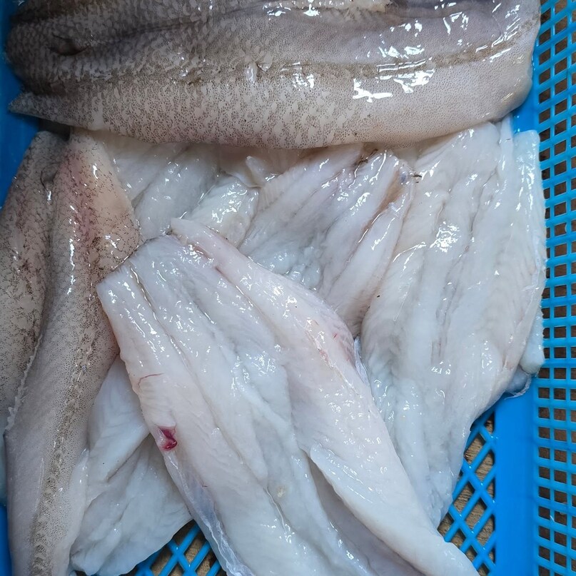 Bombay Duck: The Fish With A Quirky Name And Rich Legacy