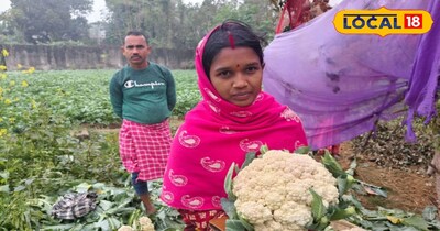 पुतुल बताती हैं कि उन्होंने महज 1 रुपये प्रति पौधे की लागत से फूल गोभी की खेती शुरू की थी. कुल मिलाकर उन्होंने करीब 5000 पौधे अपने खेत में लगाए. हैरानी की बात यह है कि सिर्फ तीन महीने के अंदर ही इन 5000 गोभी से उन्हें लगभग डेढ़ लाख रुपये की कमाई हो चुकी है, जबकि अभी 20 से 30 हजार रुपये और आमदनी होना बाकी है.