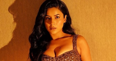 शहनाज गिल को रियलिटी शो बिग बॉस 13 से मिली पहचान.