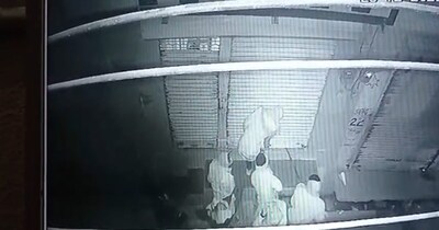 10 से 12 हथियारबंद बदमाशों ने पूरी प्लानिंग के साथ डकैती की.