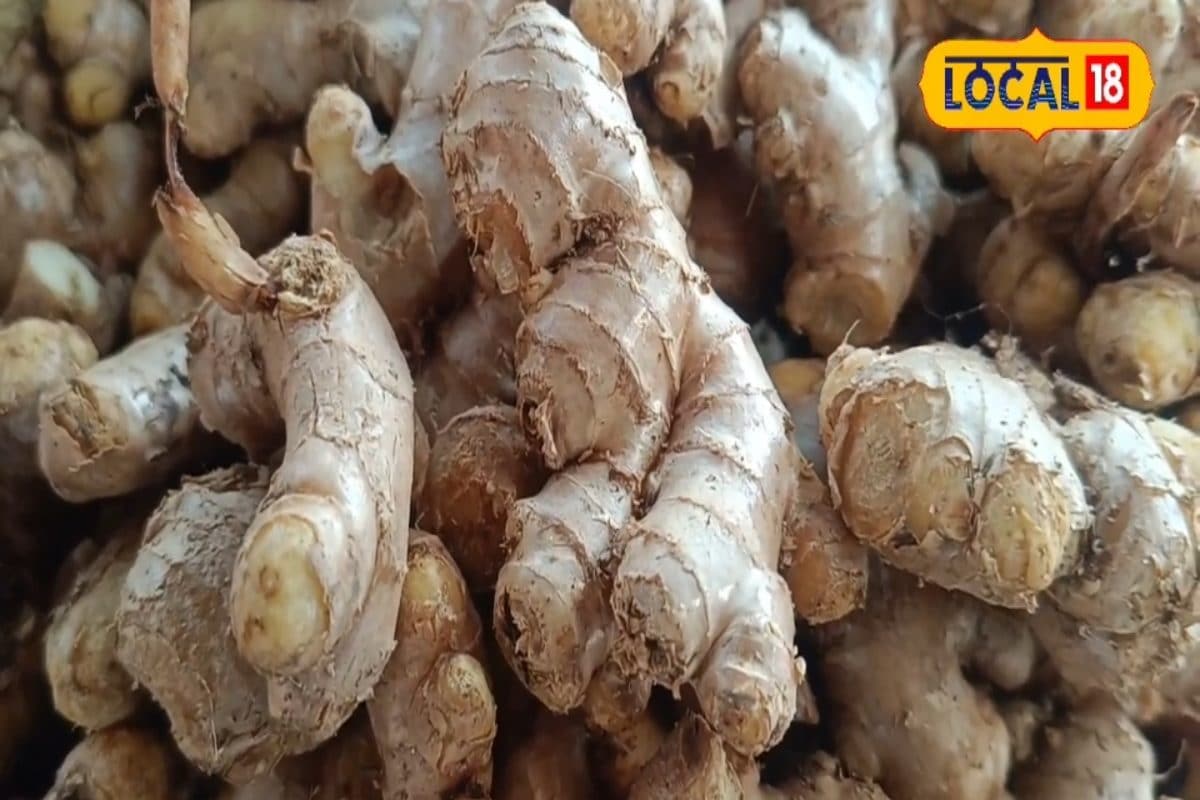 खून की कमी से लेकर फैटी लिवर तकअदरक है हर समस्या का हल जानिए इसके फायदे