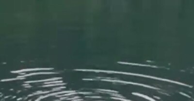 Mysterious Woman Evades Police in MP Pond, Chants 'Ram-Ram' for Two Days