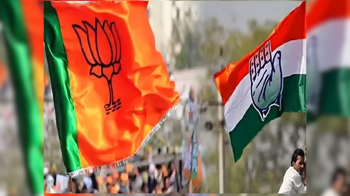 गोवा जिला पंचायत चुनाव में बीजेपी का दबदबा, कांग्रेस भी दे रही टक्कर