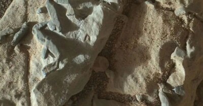 Scientist Alleges NASA Concealed Alien Fossils on Mars, Sparks Controversy