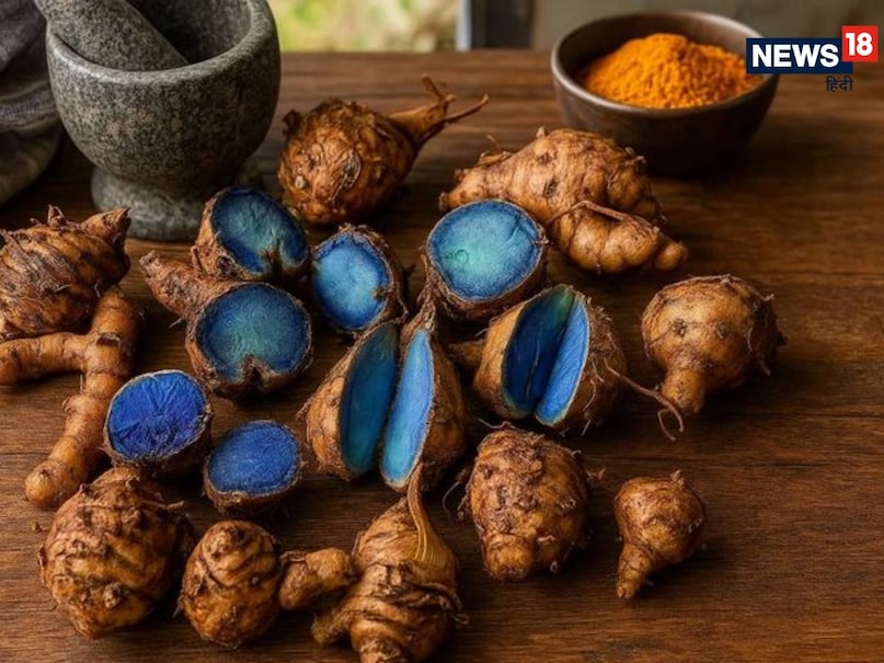 While Nizamabad produces turmeric in large quantities, Sangli holds the title 