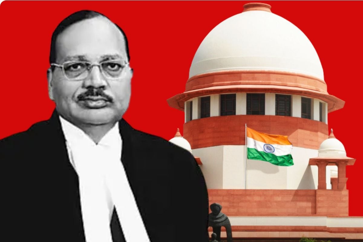 लोग बेरोजगार हैं CJI सूर्यकांत के सामने पेश हुए वकील ने क्यों दी ये दलील