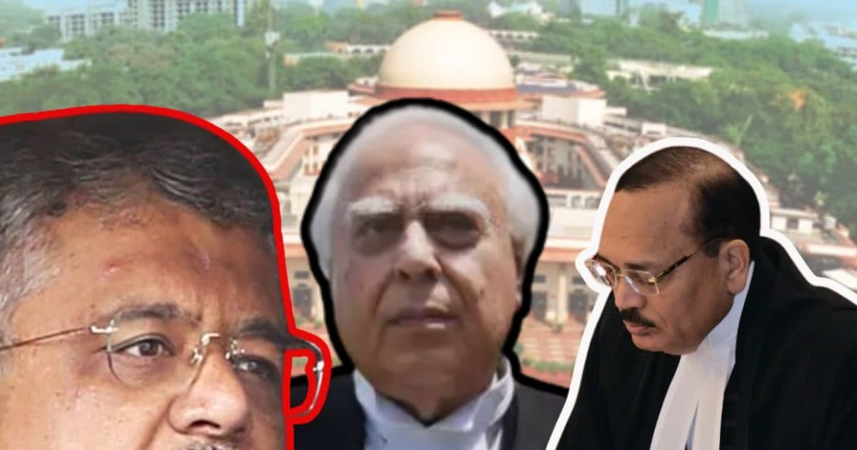 मुझे दलील रखने दें... SG देते रहे दलील, CJI बोले- हम अंतरिम जमानत देते हैं
