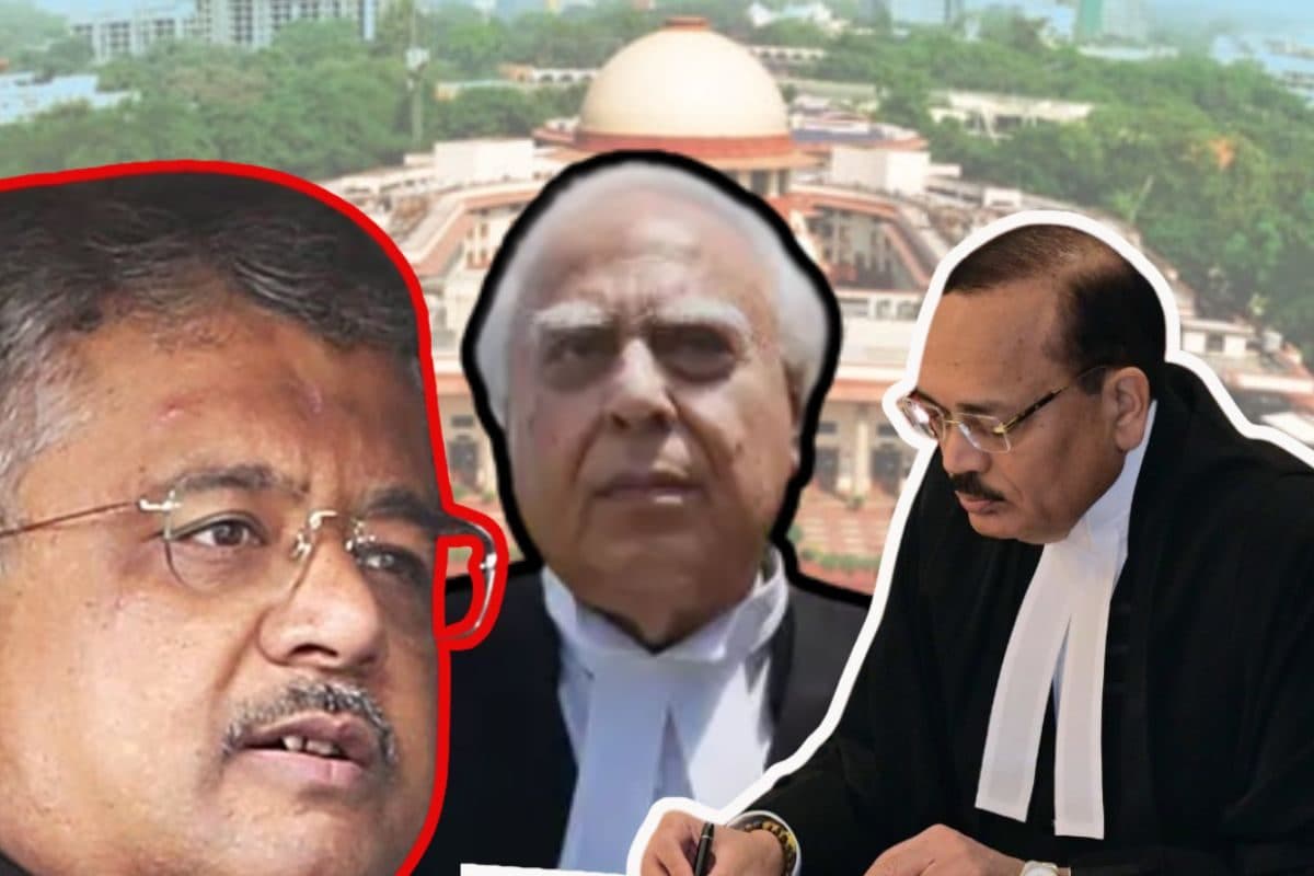 मुझे दलील रखने दें SG देते रहे दलील CJI बोले- हम अंतरिम जमानत देते हैं
