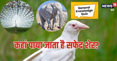 Trending gk, gk quiz, general knowledge, gk quiz for upsc: जनरल नॉलेज में अक्‍सर पूछे जाते हैं ये सवाल.