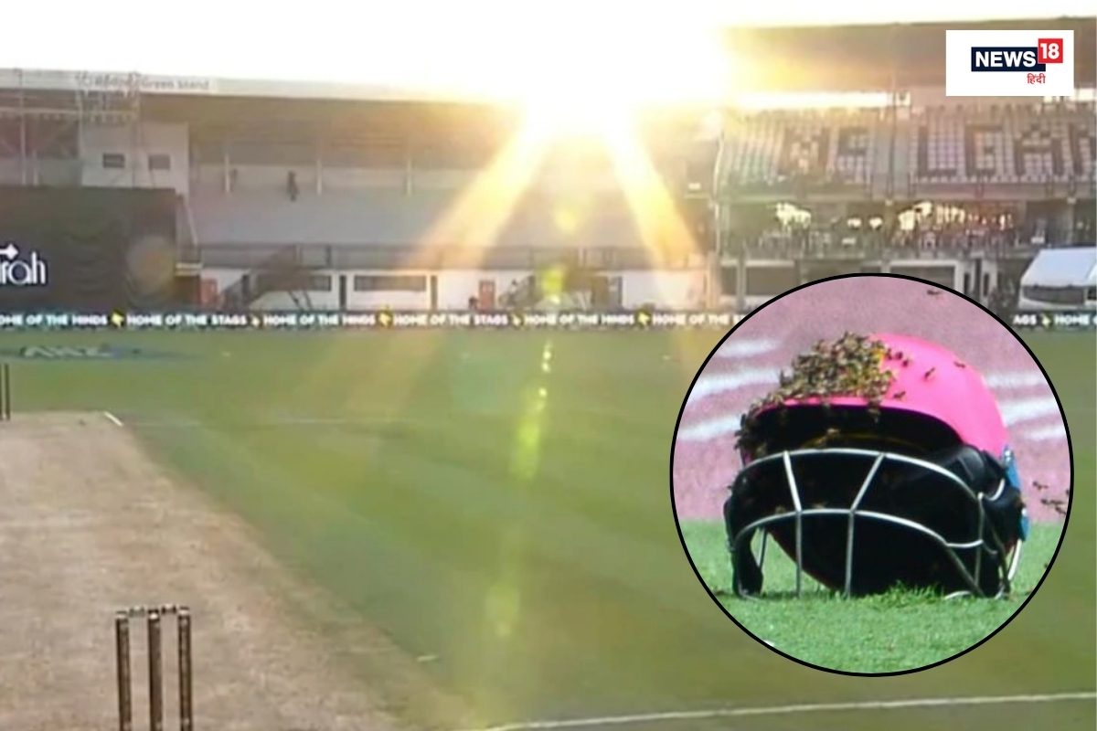 कभी तेज धूप तो कभी मधुमक्खियों का हमला, ये 5 अजीब मामले जब रोका गया मैच