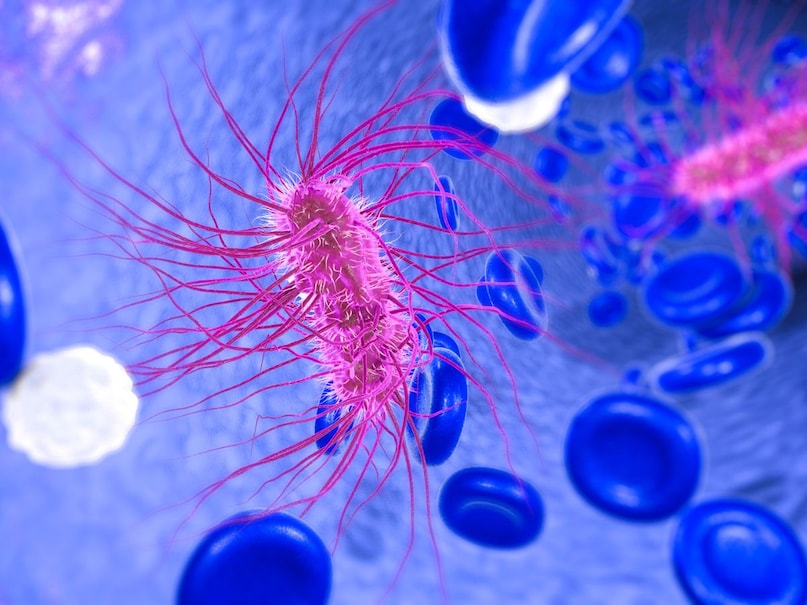 norovirus-symptoms-intestine-damage-winter-diarrhea-health-alert-hindi norovirus-symptoms-intestine-damage-winter-diarrhea-health-alert-hindi