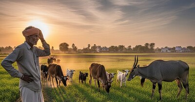 Prickly Pear: Your Farm's Natural Shield Against Wild Animals, Low Cost, High Protection