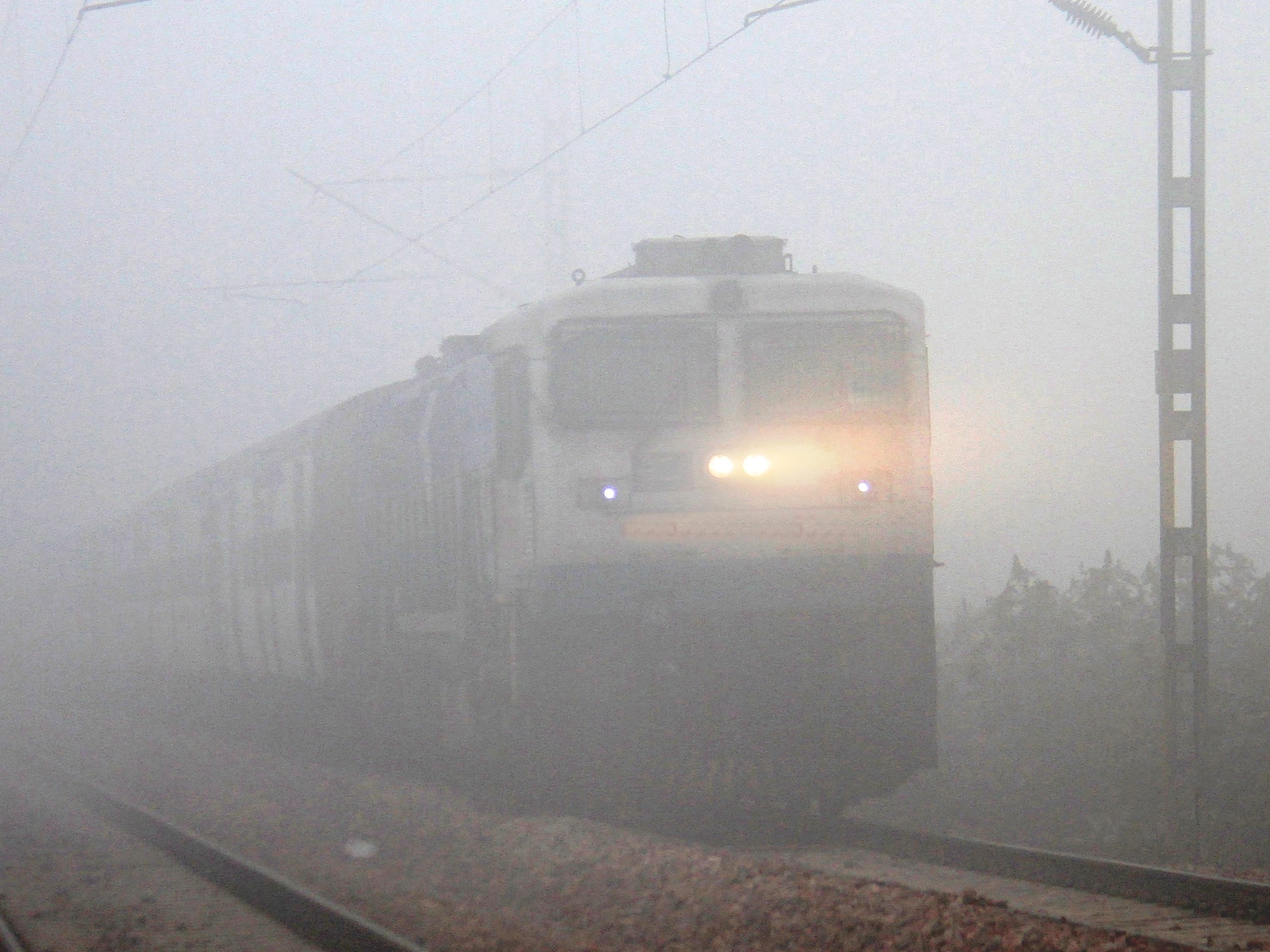 कोहरे का ट्रेन टॉर्चर: 95 ट्रेनें लेट और कई रद्द राजधानी से दुरंतो तक सब बेपटरी देखें पूरी लिस्ट