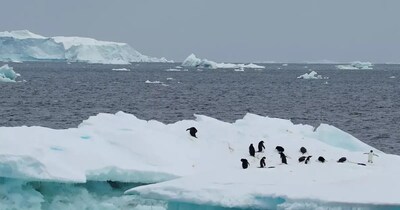 अंटार्कटिका के थ्वाइट्स ‘डूम्सडे’ ग्लेशियर में 360+ ग्लेशियल अर्थक्वेक मिले हैं. (फाइल फोटो)
