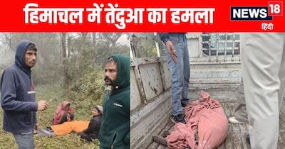 एसडीएम बल्ह स्मृतिका नेगी ने मामले की पुष्टि की है. उन्होंने बताया कि इस घटना में एक व्यक्ति की मृत्यु हुई है.