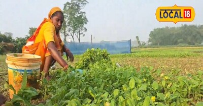 खेत की तस्वीर