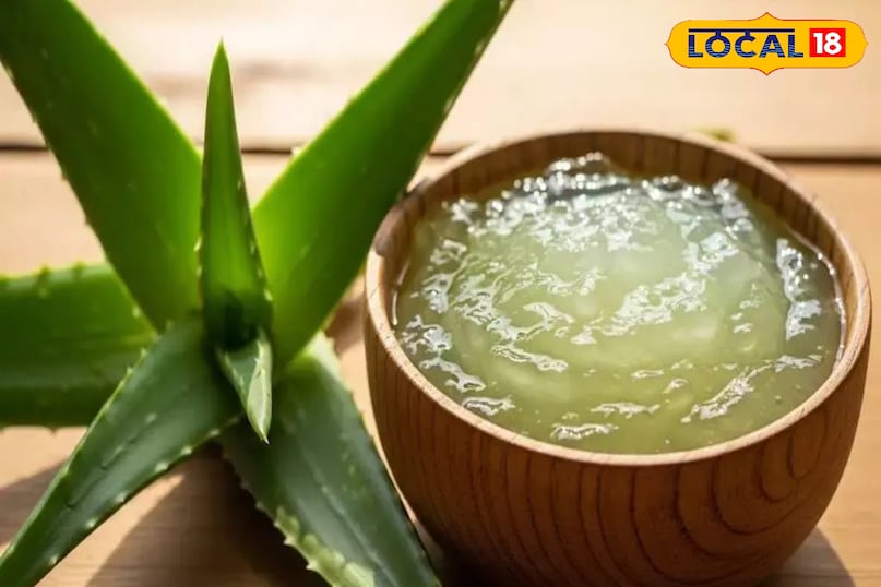 एलोवेरा 