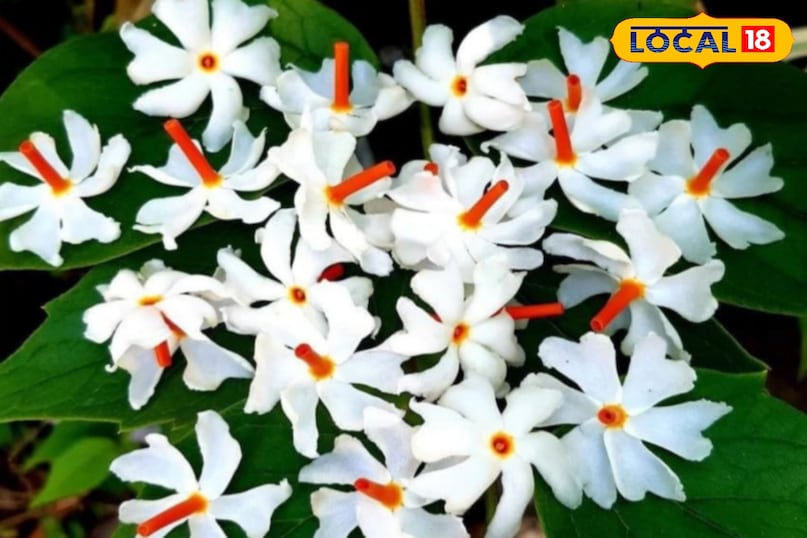 Aligarh news, hindi news, up news, local news, अलीगढ़ समाचार,हिंदी समाचार,यूपी समाचार,लोकल समाचार. Aligarh news, hindi news, up news, local news, अलीगढ़ समाचार,हिंदी समाचार,यूपी समाचार,लोकल समाचार.