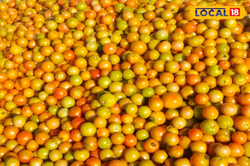 आधा एकड़ में 2 लाख की कमाई