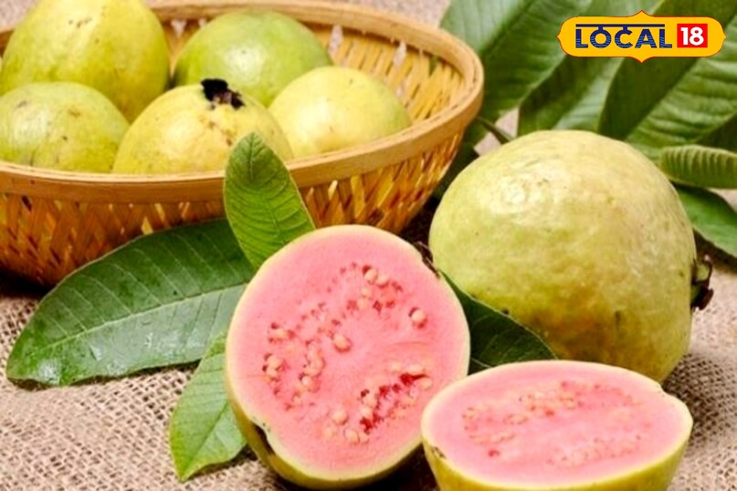 अमरूद में मौजूद फाइबर अच्छे बैक्टीरिया को पोषण देकर आंत को स्वस्थ बनाता है. मजबूत गट माइक्रोबायोम पाचन को बेहतर करता है और शरीर में टॉक्सिन जमा होने से बचाता है. जब आंत स्वस्थ रहती है, तो शरीर कोलेस्ट्रॉल और फैट को बेहतर तरीके से प्रोसेस करता है. यही कारण है कि डाइट में फाइबर युक्त फल शामिल करना कोलेस्ट्रॉल नियंत्रण के लिए आवश्यक माना जाता है.