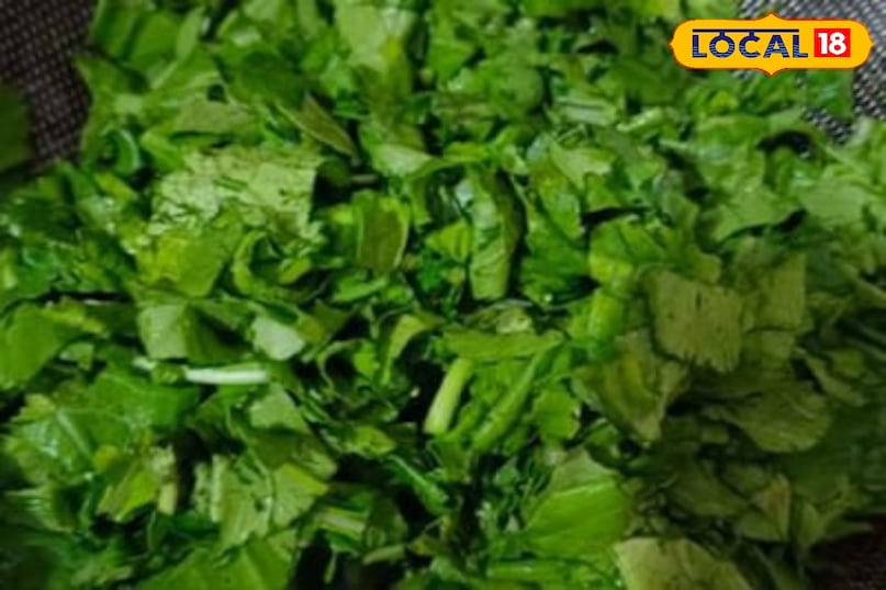 moradabad news,hindi news,up news,local news, मुरादाबाद समाचार, हिंदी समाचार, यूपी समाचार, लोकल समाचार।