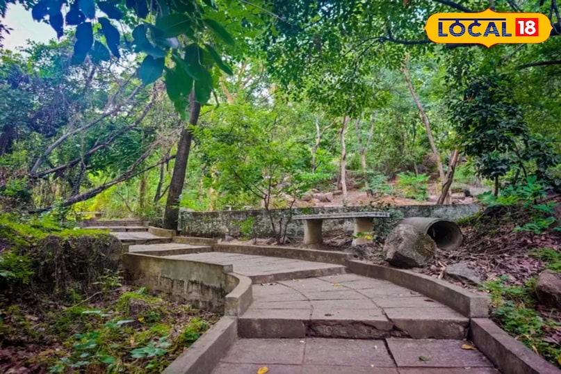 फिकस गार्डन शहर की भागदौड़ से दूर शांति की तलाश करने वालों के लिए यह पार्क एक आदर्श स्थान है। साइलेंट वैली क्षेत्र में स्थित यह बगीचा प्रकृति के सान्नि में फिर से जुड़ने और तरोताजा होने का अवसर देता है।