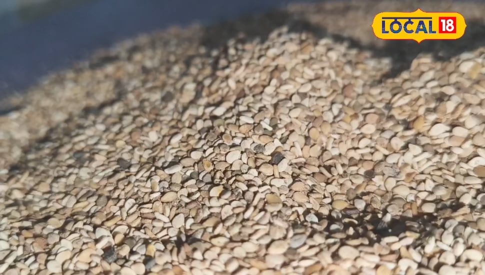 सर्दियों में रामबाण है ये जादुई चीज,मिलेगी एनर्जी, इम्यूनिटी और गर्माहट का डोज