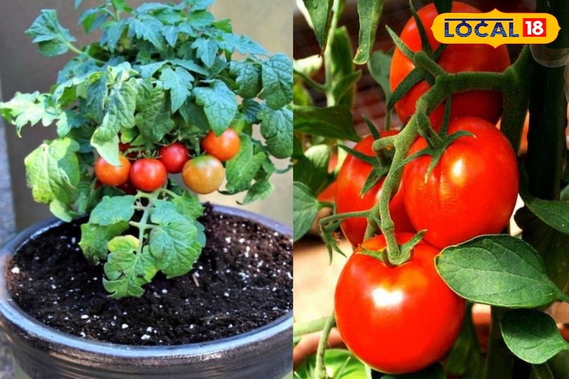 मिट्टी तैयार मिट्टी तैयार