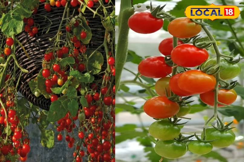 धूप और पानी धूप और पानी