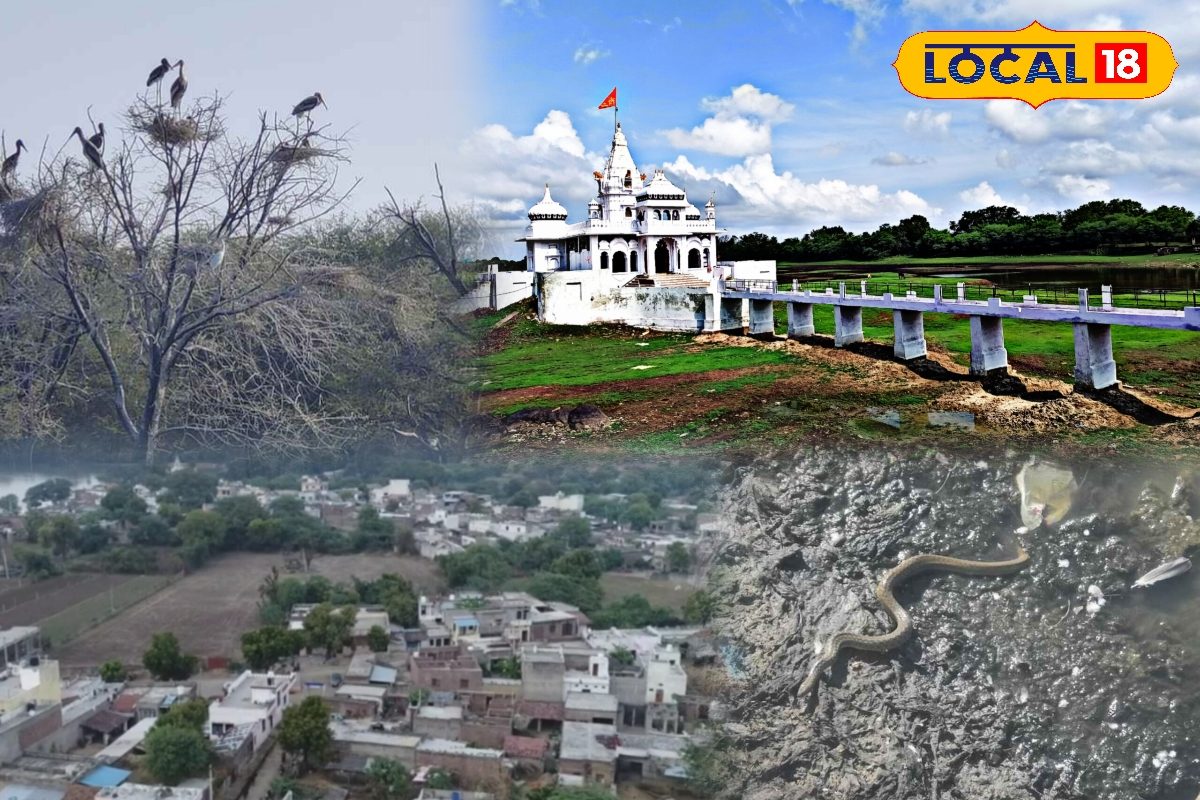 राजस्थान गए यहां नहीं घूमे सर्दियों में सैलानियों की पहली पसंद देखें वीडियो