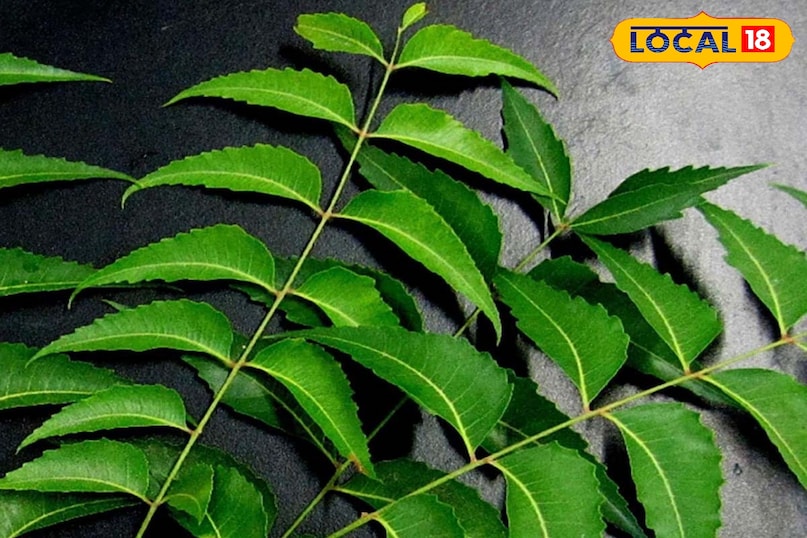 স্বাস্থ্য খবর স্বাস্থ্য খবর